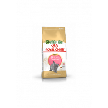 ROYAL CANIN CAT KITTEN BRITISH SHORTHAIR 2KG